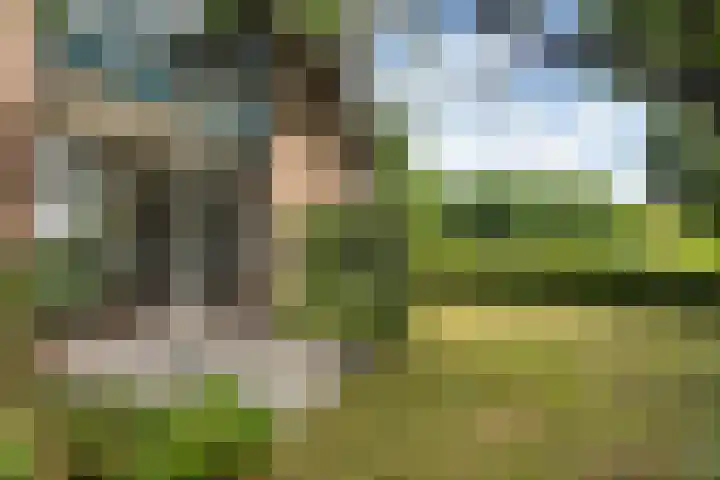 Wildbaan 3 Leersum thumbnail 37
