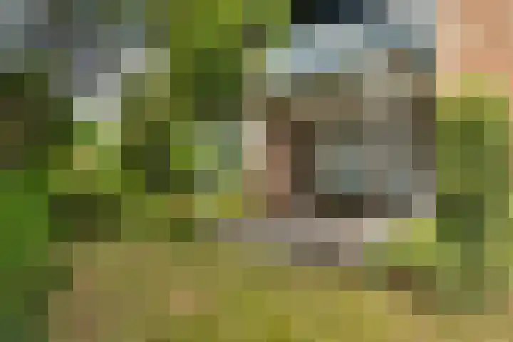 Wildbaan 3 Leersum thumbnail 38