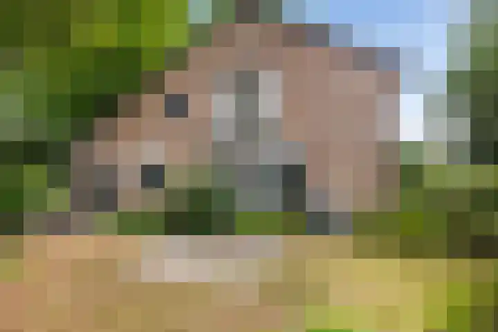Wildbaan 3 Leersum thumbnail 39