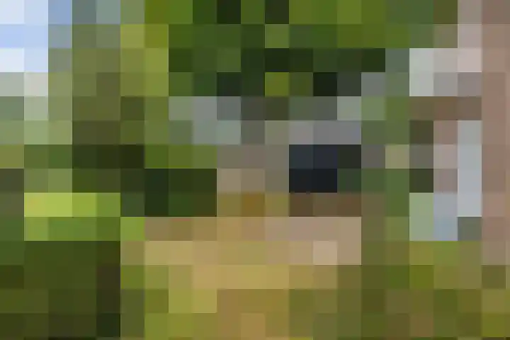 Wildbaan 3 Leersum thumbnail 40