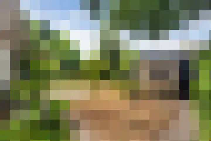 Wildbaan 3 Leersum thumbnail 41
