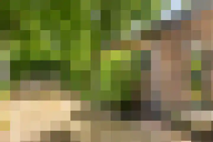Wildbaan 3 Leersum thumbnail 41