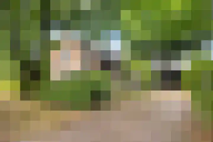 Wildbaan 3 Leersum thumbnail 42