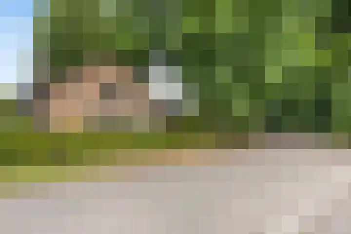 Wildbaan 3 Leersum thumbnail 43