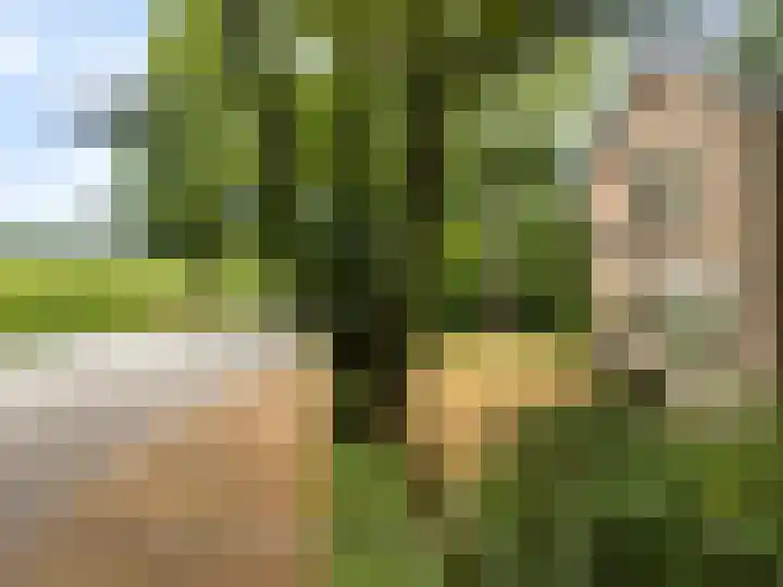 Wildbaan 3 Leersum thumbnail 44