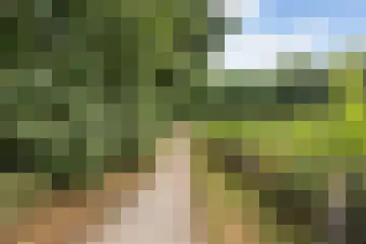 Wildbaan 3 Leersum thumbnail 45
