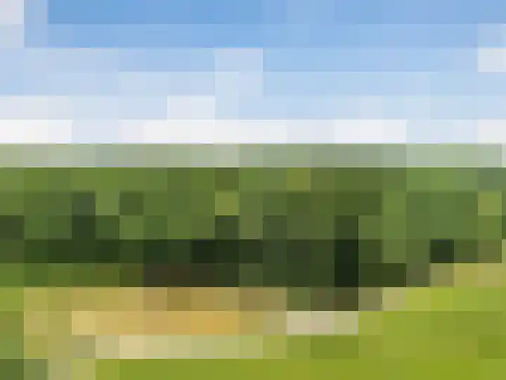 Wildbaan 3 Leersum thumbnail 47