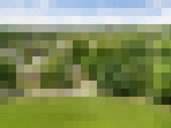 Wildbaan 3 Leersum thumbnail 48