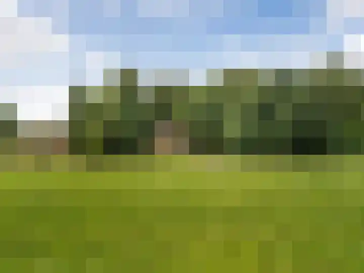 Wildbaan 3 Leersum thumbnail 5