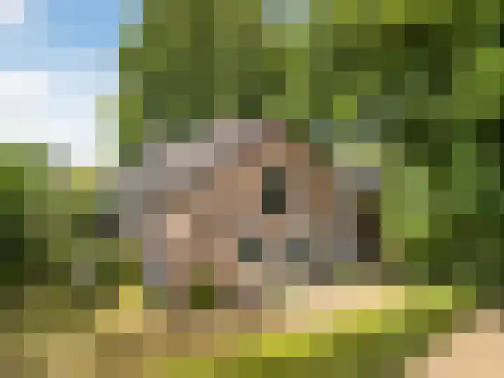 Wildbaan 3 Leersum thumbnail 6