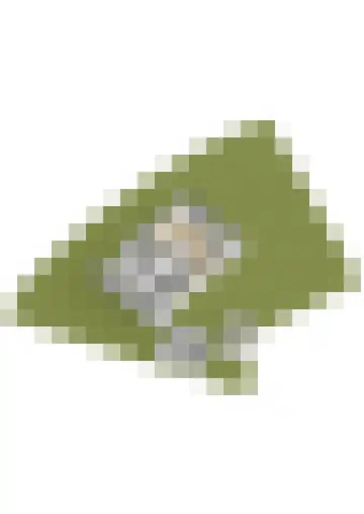 Wildbaan 3 Leersum thumbnail 64