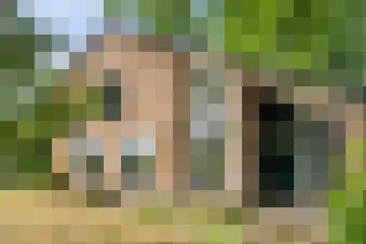 Wildbaan 3 Leersum thumbnail 7