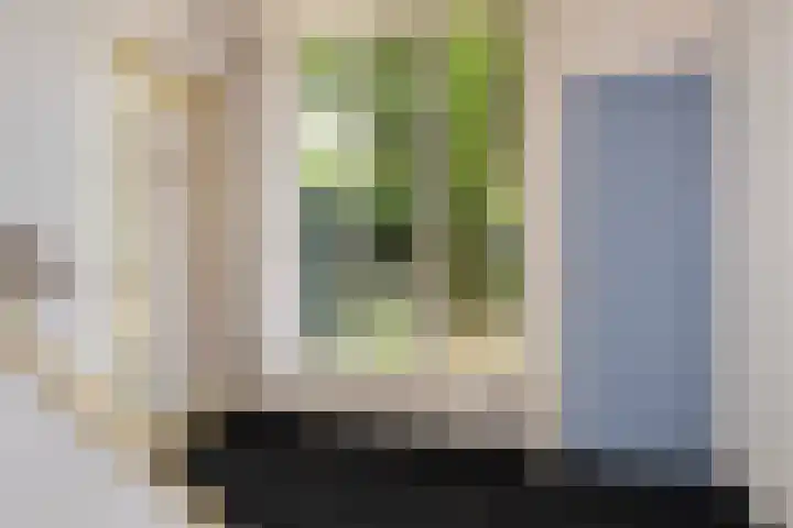 Wildbaan 3 Leersum thumbnail 9