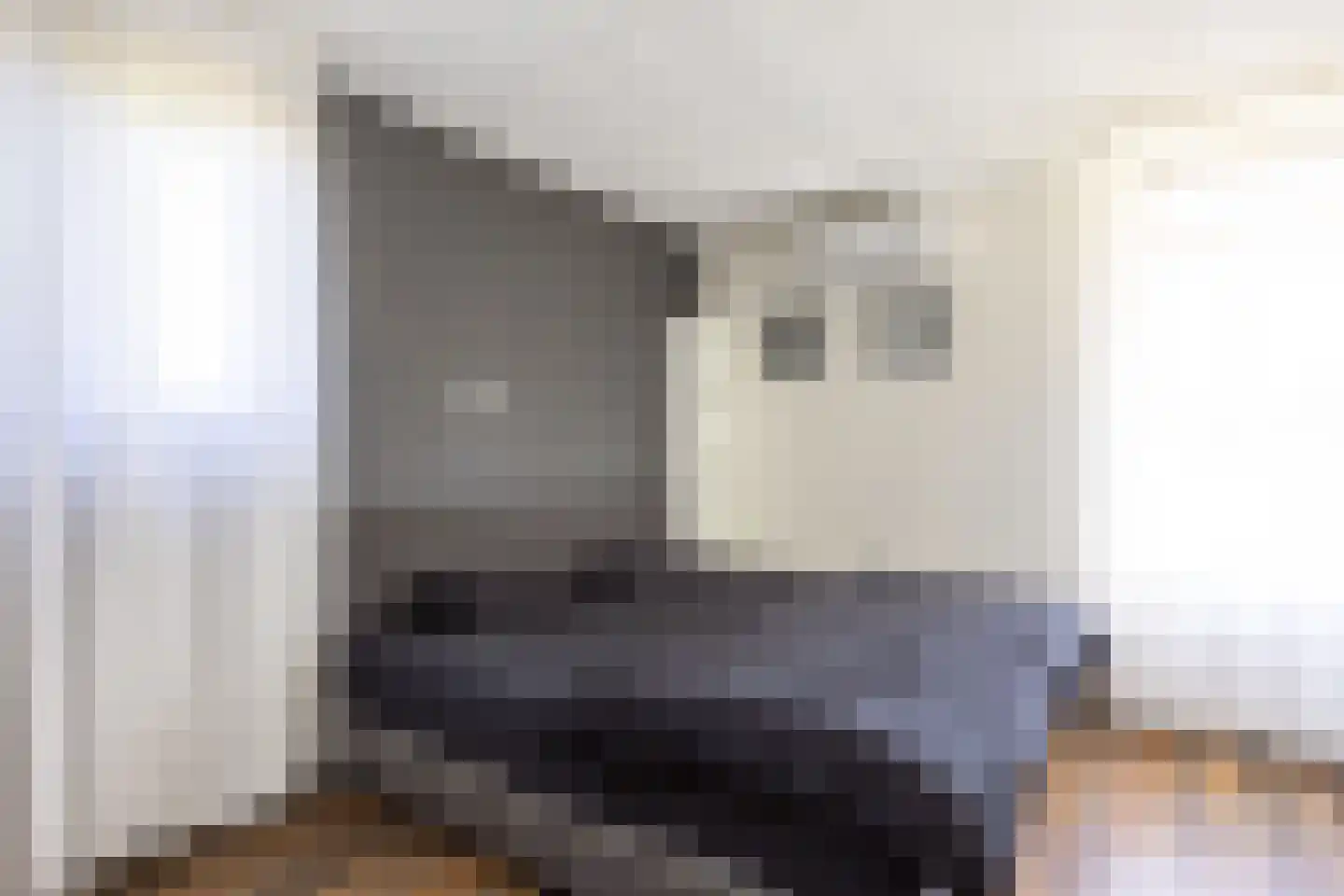 Wildbaan 4 Aduard thumbnail 21