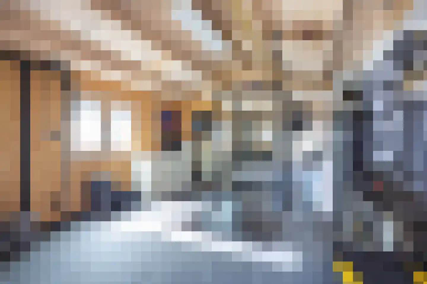 Wildbaan 4 Aduard thumbnail 33