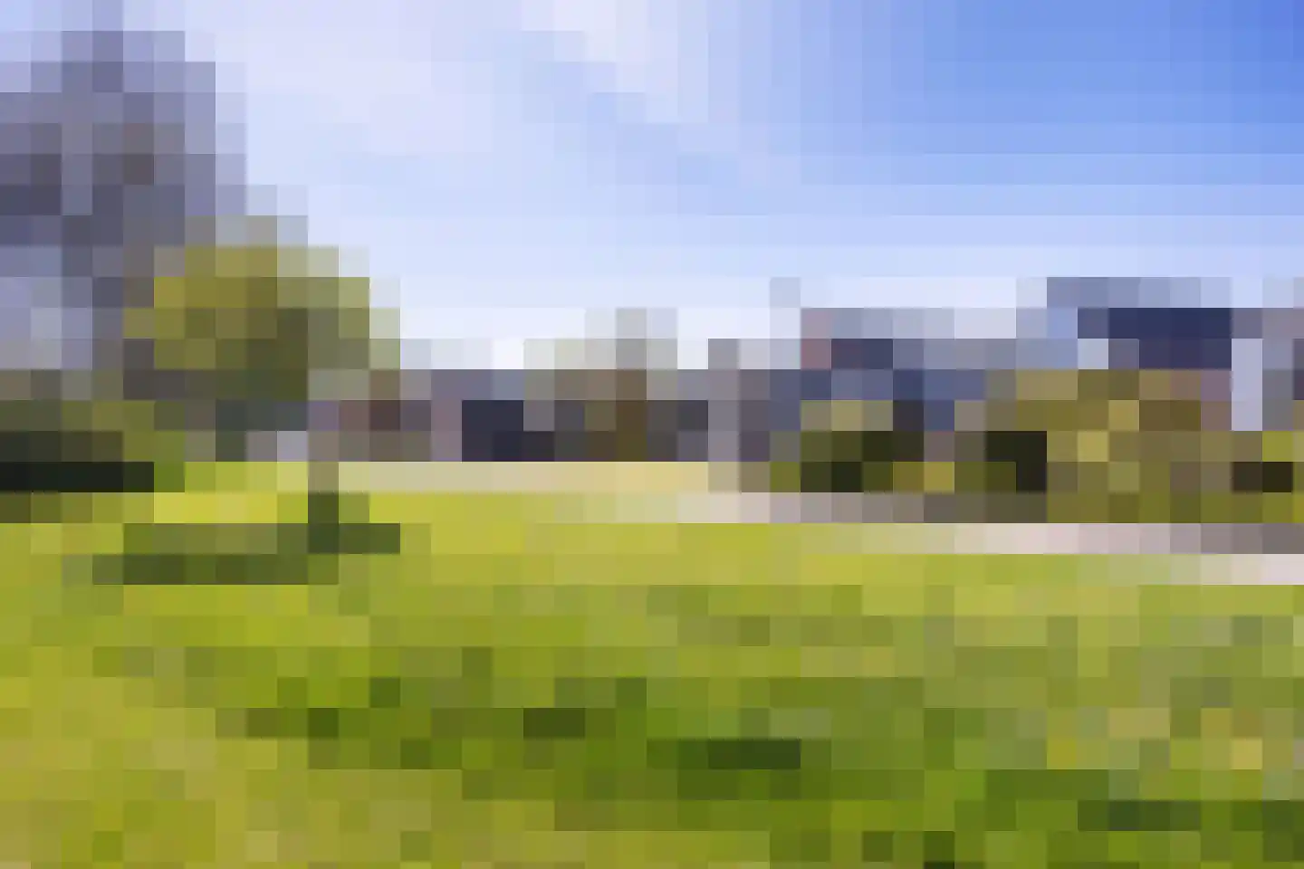 Wildbaan 4 Aduard thumbnail 7