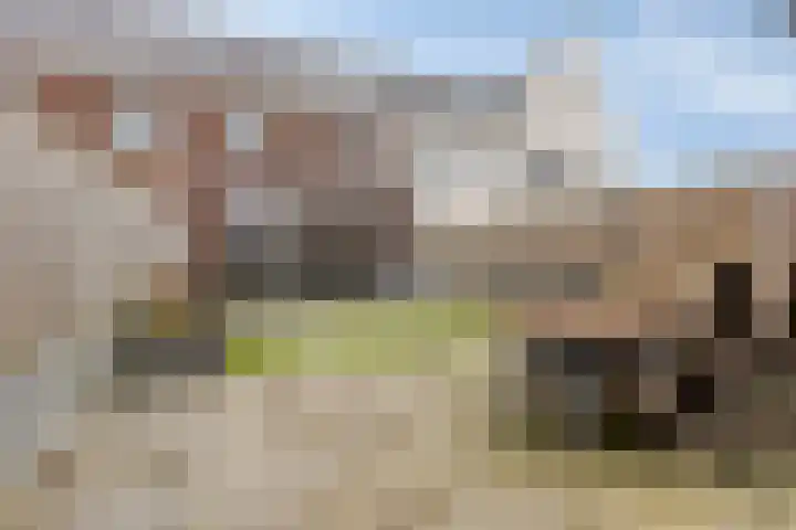Wildbaan 45 De Goorn thumbnail 39