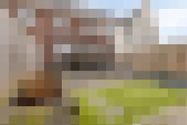 Wildbaan 45 De Goorn thumbnail 4