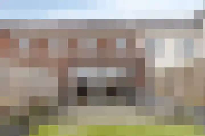 Wildbaan 45 De Goorn thumbnail 40
