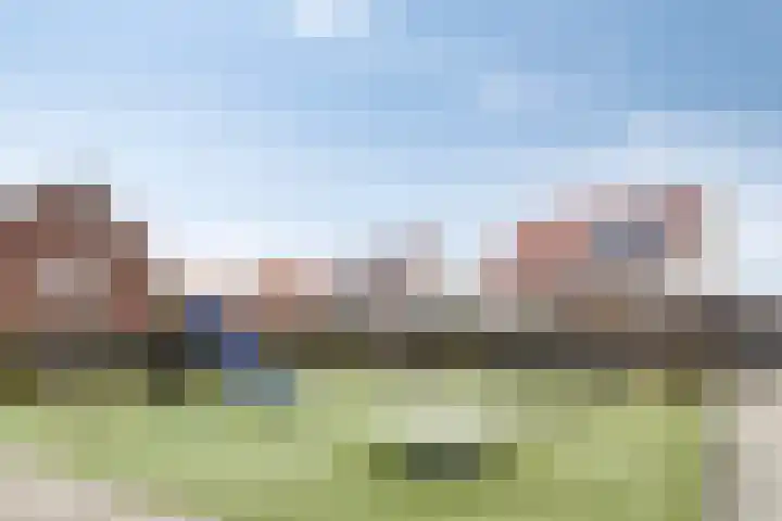 Wildbaan 45 De Goorn thumbnail 5