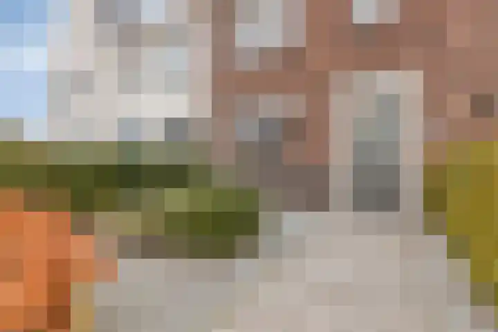Wildbaan 45 De Goorn thumbnail 6