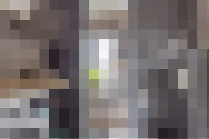 Wildbaan 55 Rotterdam thumbnail 14