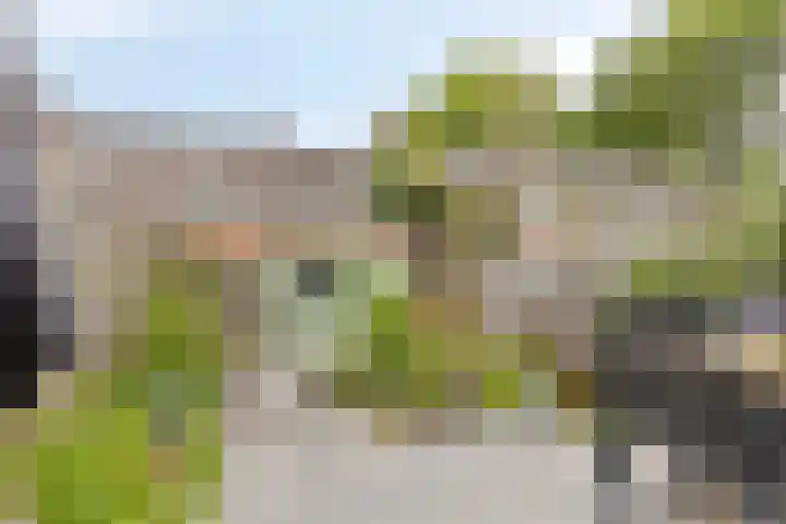 Wildbaan 55 Rotterdam thumbnail 16