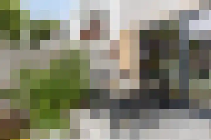 Wildbaan 55 Rotterdam thumbnail 17