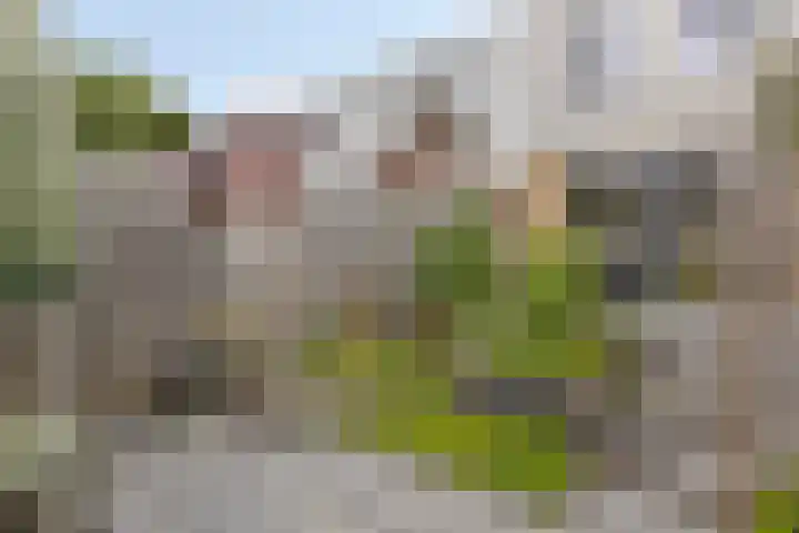 Wildbaan 55 Rotterdam thumbnail 18