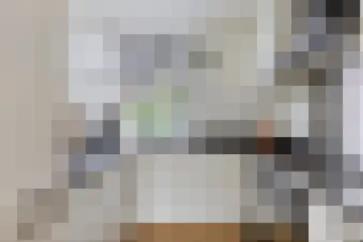 Wildbaan 55 Rotterdam thumbnail 5