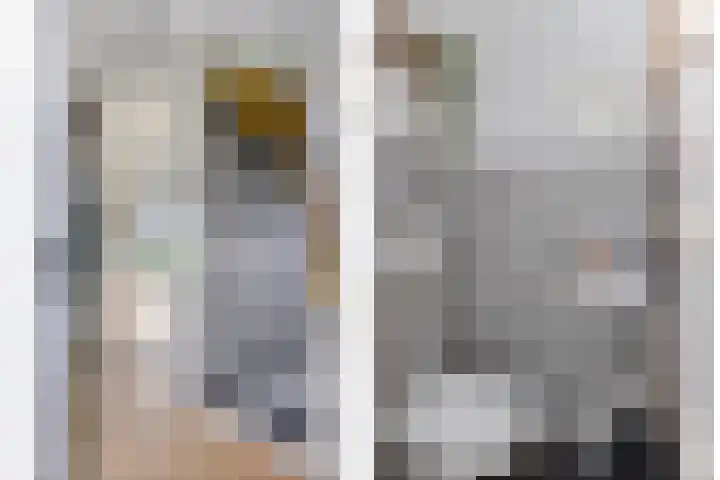 Wildbaan 55 Rotterdam thumbnail 8