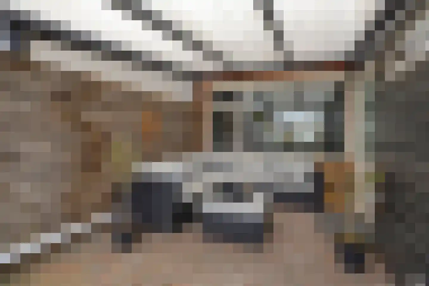 Wildbaan 70 Nieuw-Amsterdam thumbnail 33