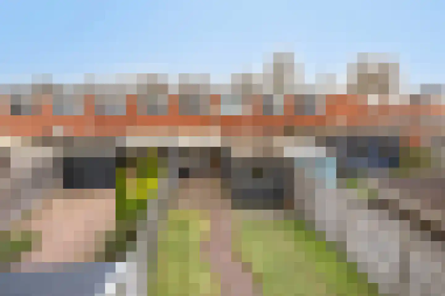 Wildbaan 70 Nieuw-Amsterdam thumbnail 37