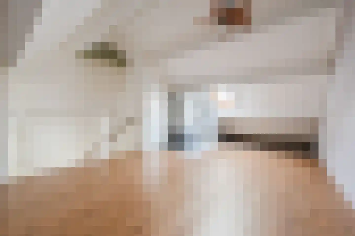 Wildbaan 84 Rotterdam thumbnail 22