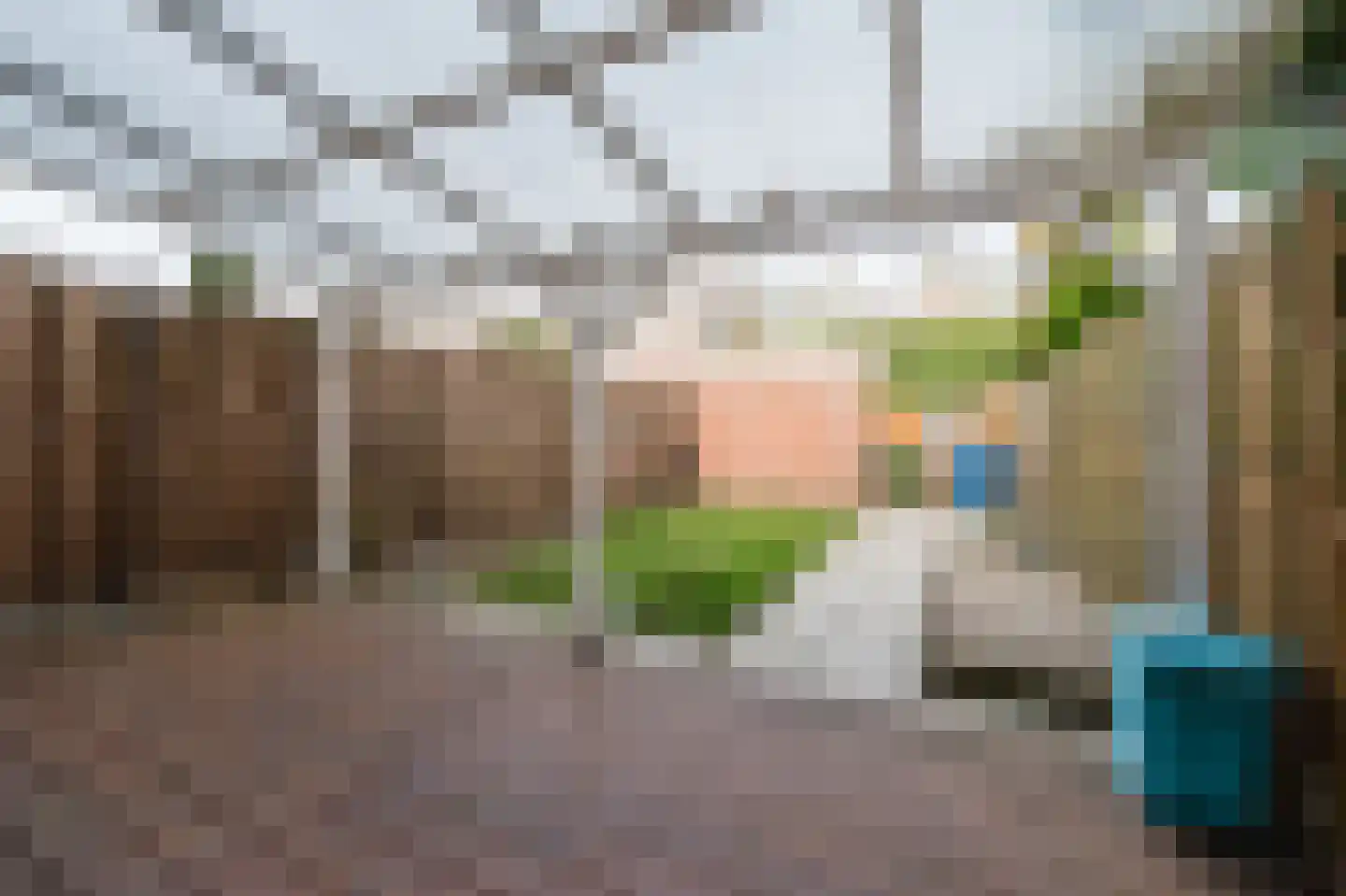 Wildbaan 84 Rotterdam thumbnail 23