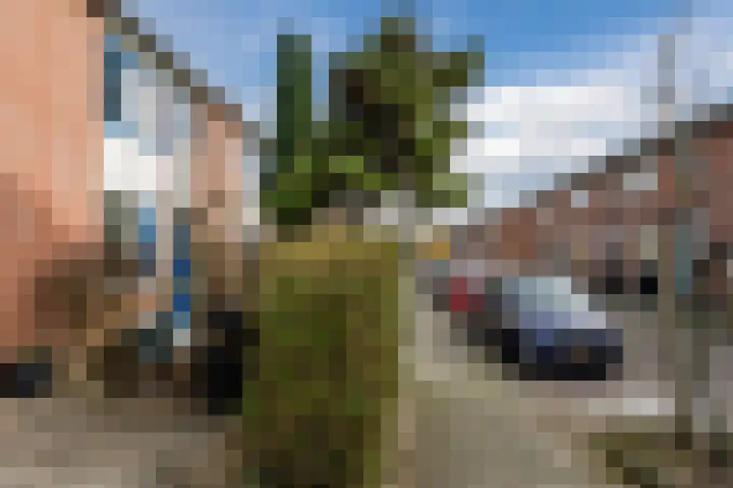 Wildbaan 84 Rotterdam thumbnail 24