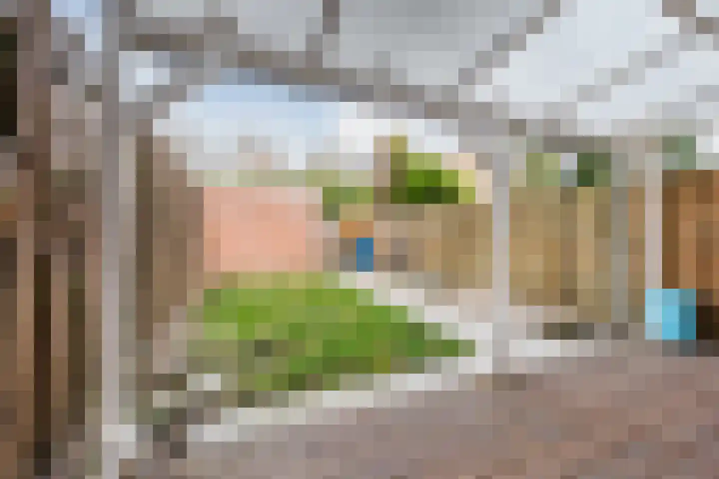 Wildbaan 84 Rotterdam thumbnail 5