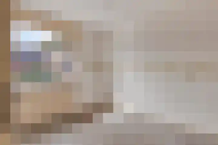 Wildbaan 86 Rotterdam thumbnail 16