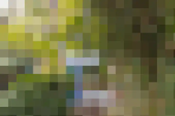 Wildbaan 86 Rotterdam thumbnail 23