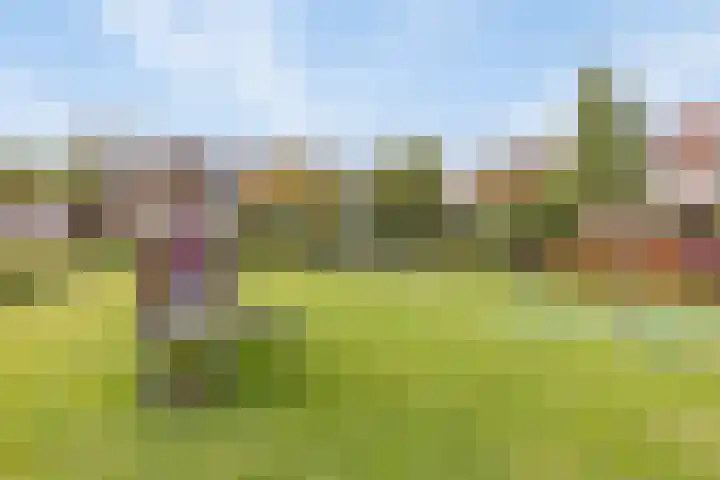 Wildbaan 86 Rotterdam thumbnail 24