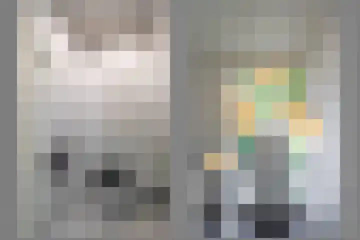 Wildbaan 9 Leersum thumbnail 25