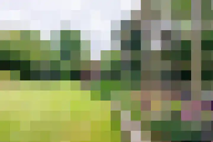 Wildbaan 9 Leersum thumbnail 35