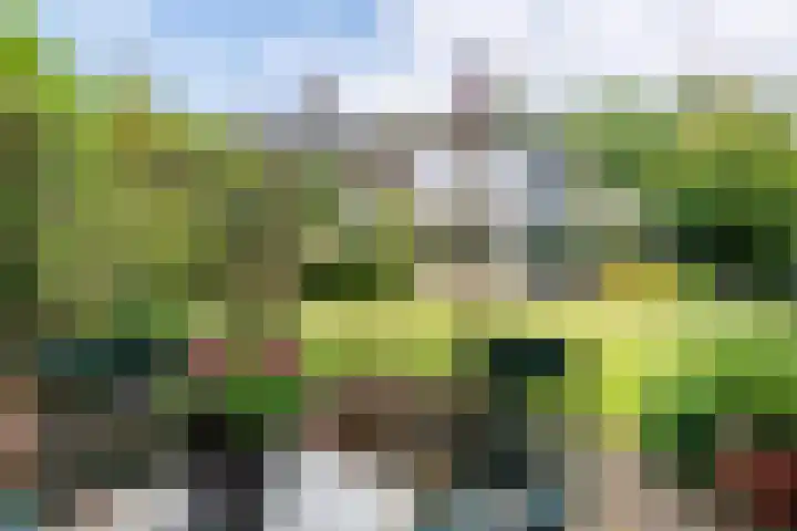 Wildbaan 9 Leersum thumbnail 37