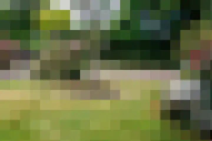Wildbaan 9 Leersum thumbnail 38