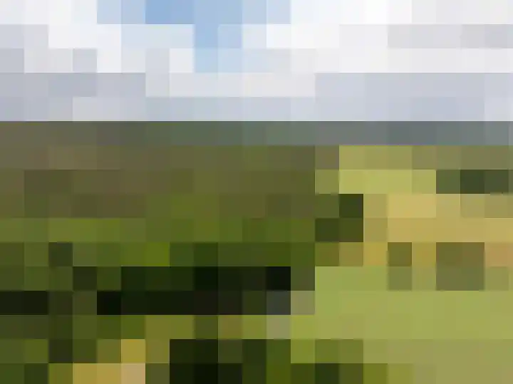 Wildbaan 9 Leersum thumbnail 4