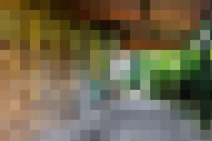 Wildbaan 9 Leersum thumbnail 40