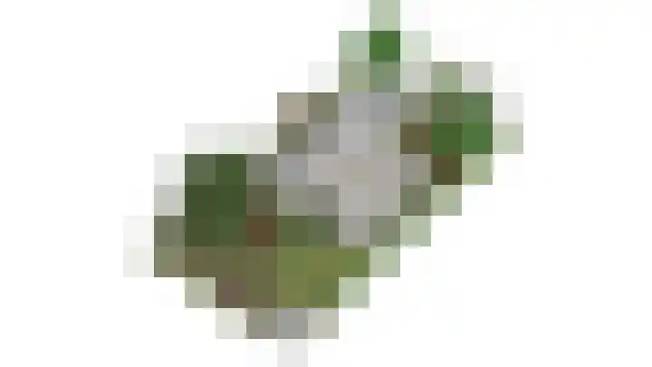 Wildbaan 9 Leersum thumbnail 42