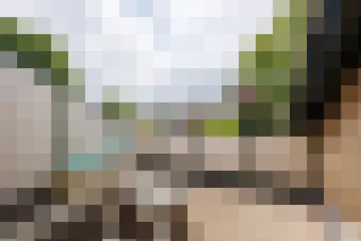 Wildbaan 9 Leersum thumbnail 52