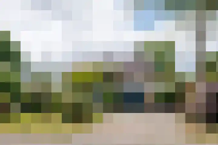 Wildbaan 9 Leersum thumbnail 6
