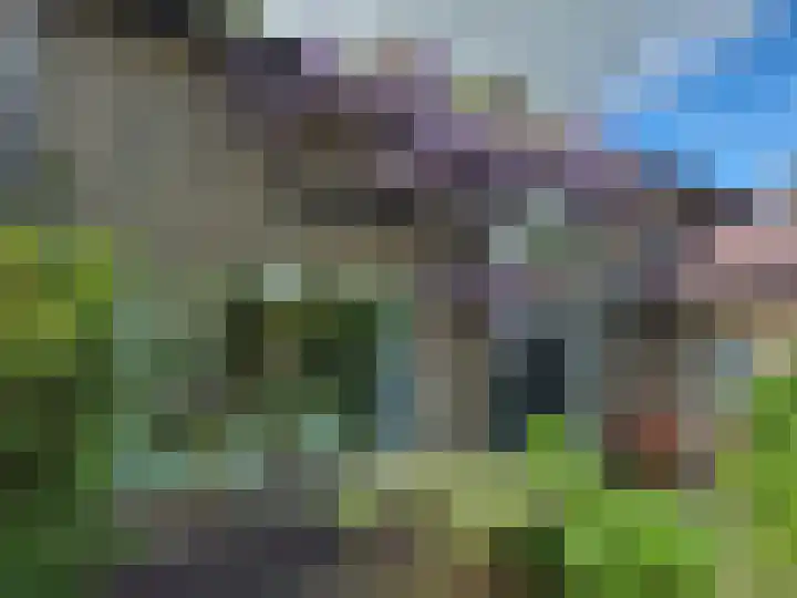 Wildbaan 9 Leersum thumbnail 60
